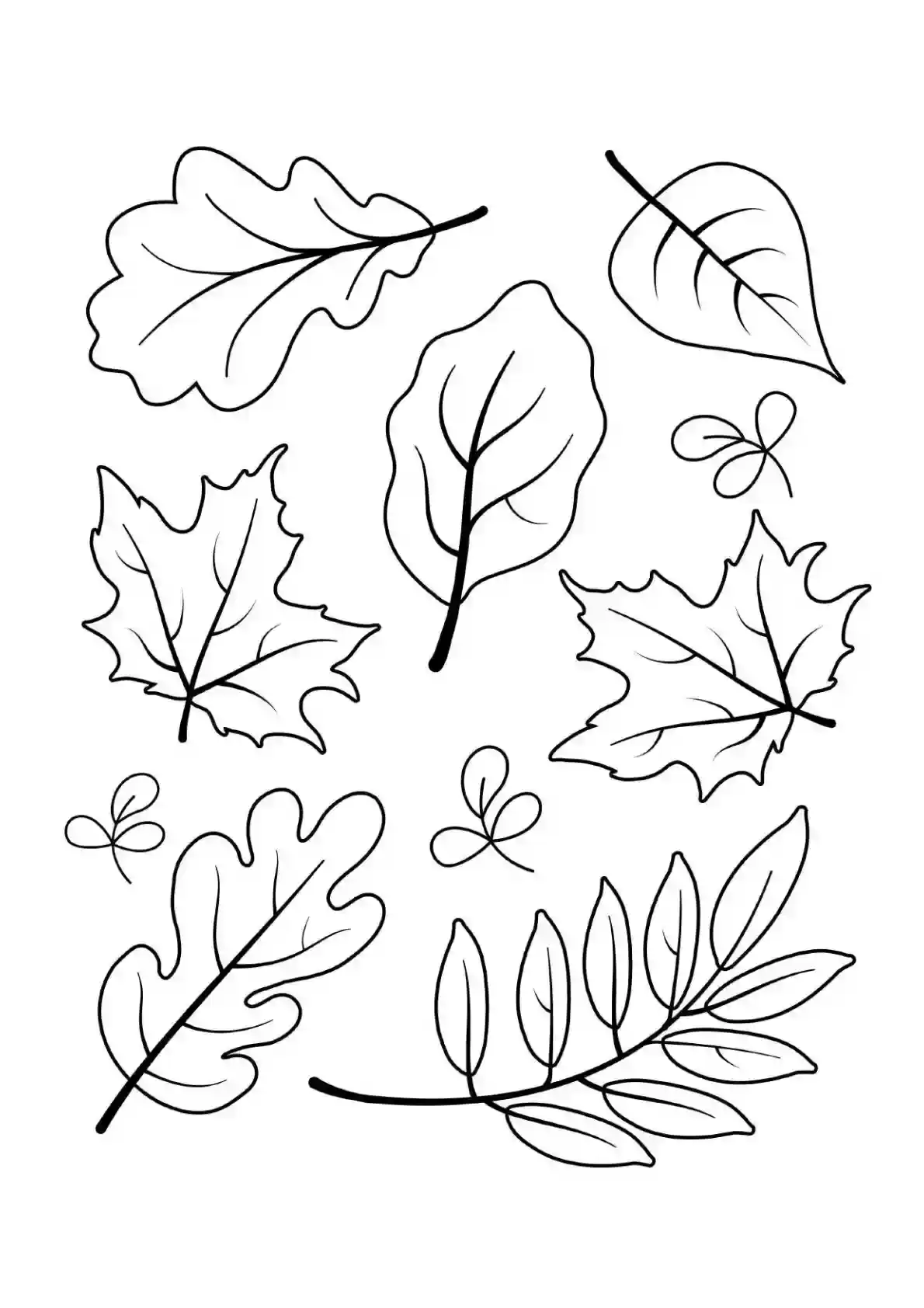 Autumn Leaves Collection