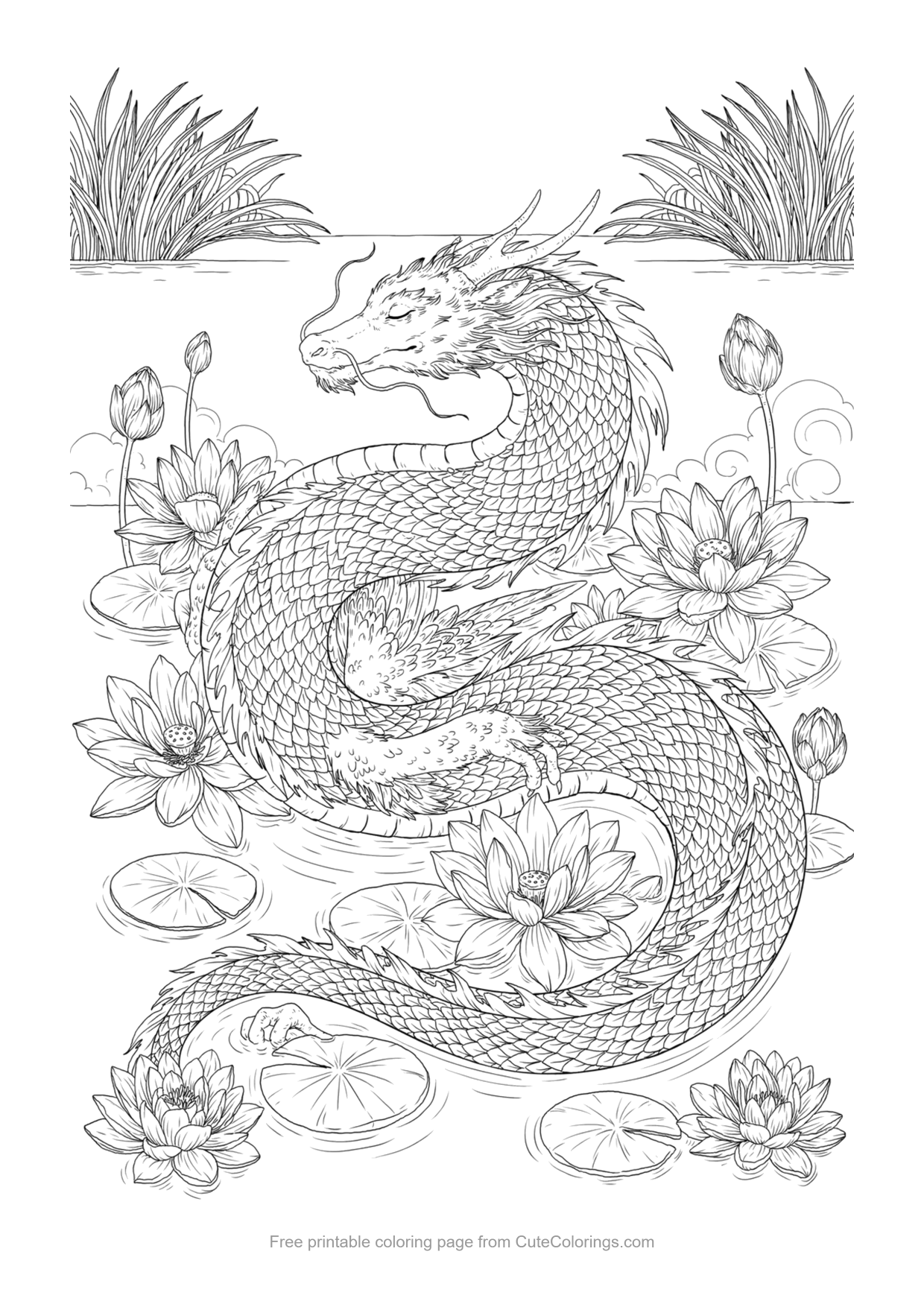 Detailed coloring page of a graceful dragon resting among lotus flowers on a pond