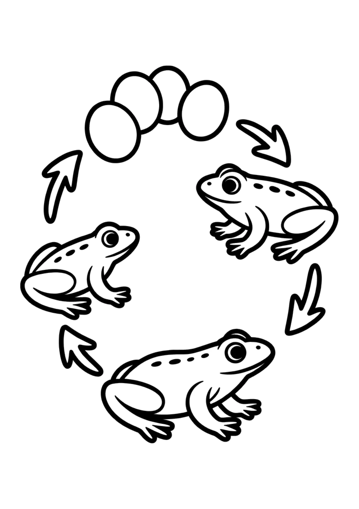Coloriage pour enfants du cycle de vie de la grenouille