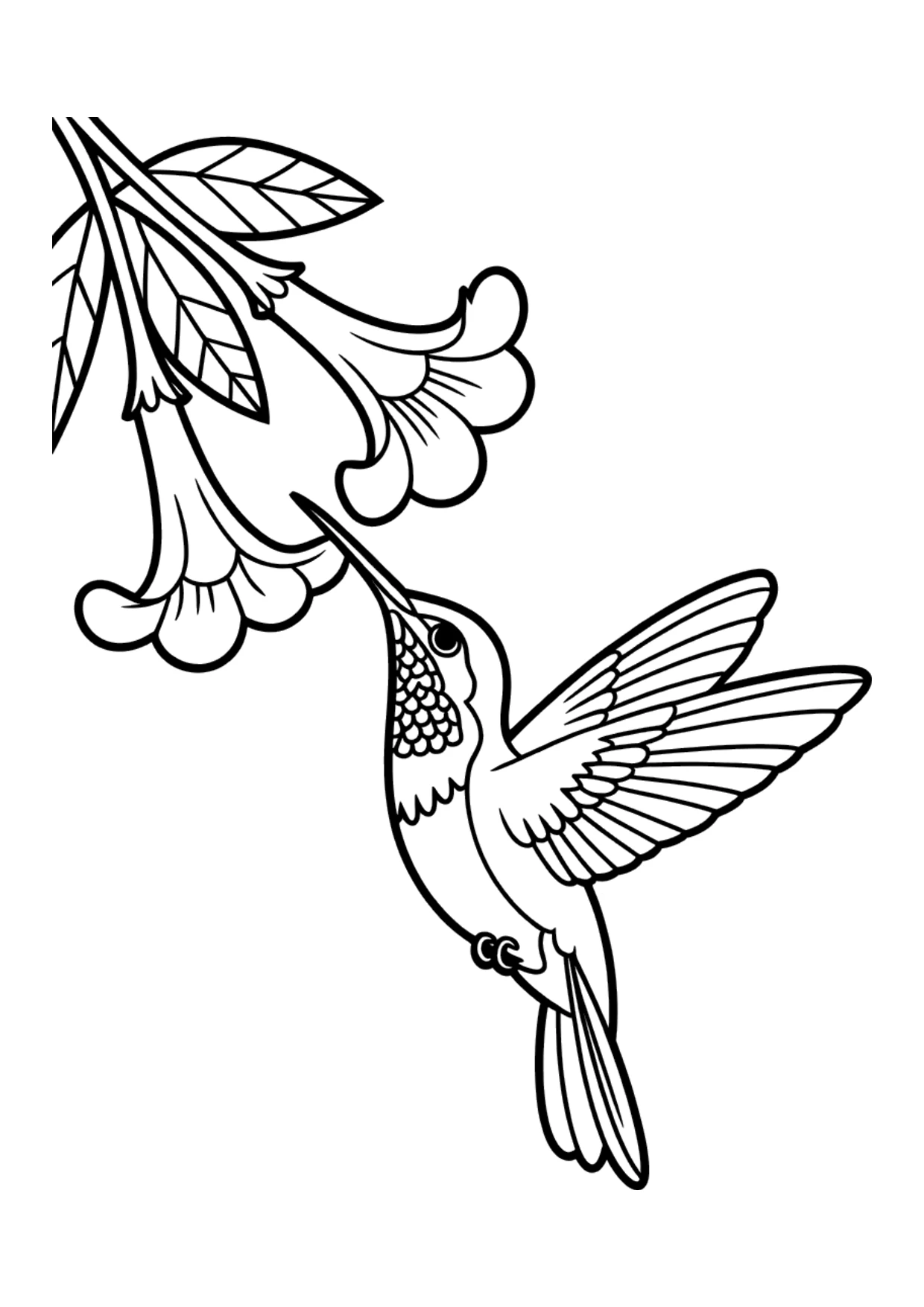 Coloriage pour enfants d&rsquo;un colibri et de fleurs en trompette