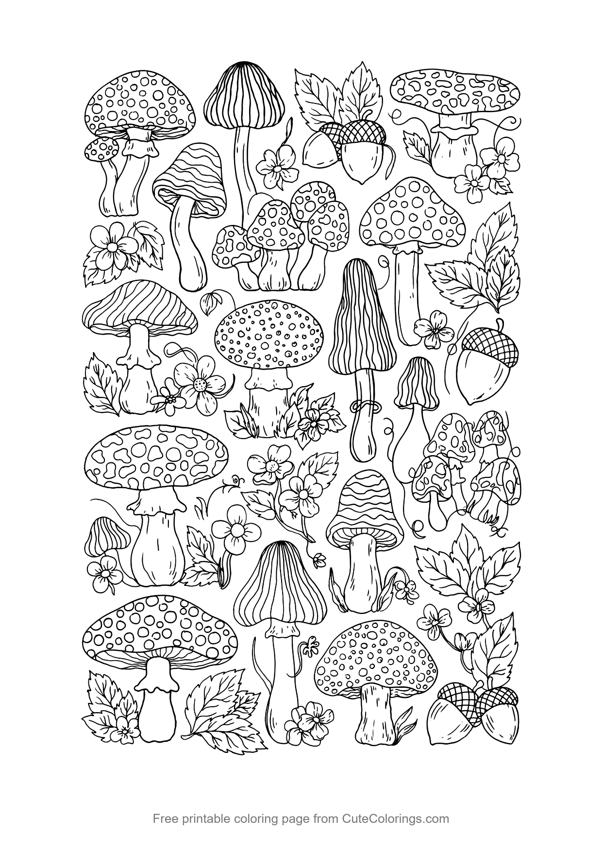 Detailed mushroom pattern coloring page with leaves, acorns and flowers