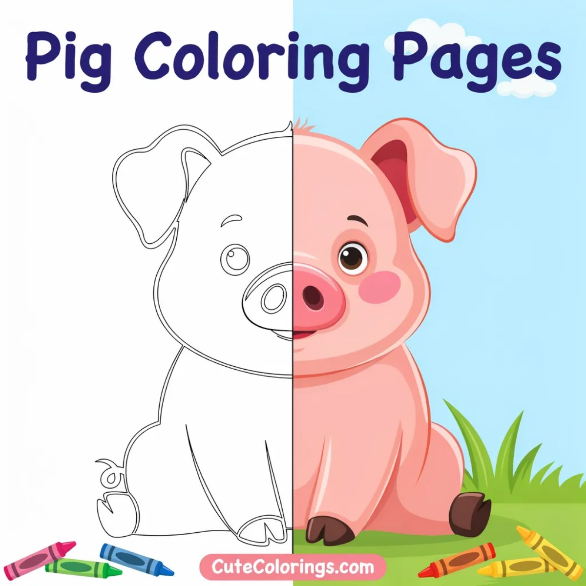 Pig coloring pages featured image showing a cute piglet half line art and half colored