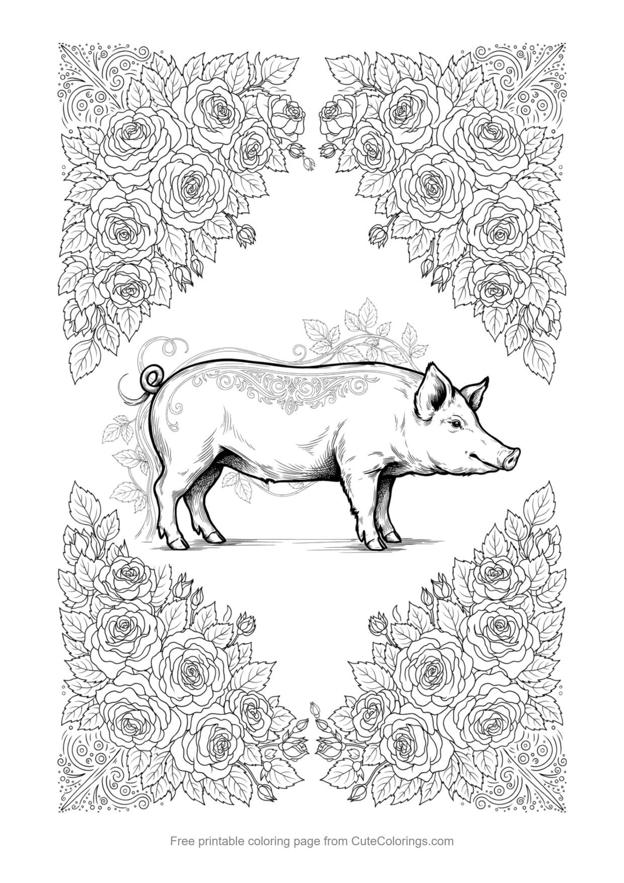 Detailed coloring page of a pig surrounded by a frame of roses