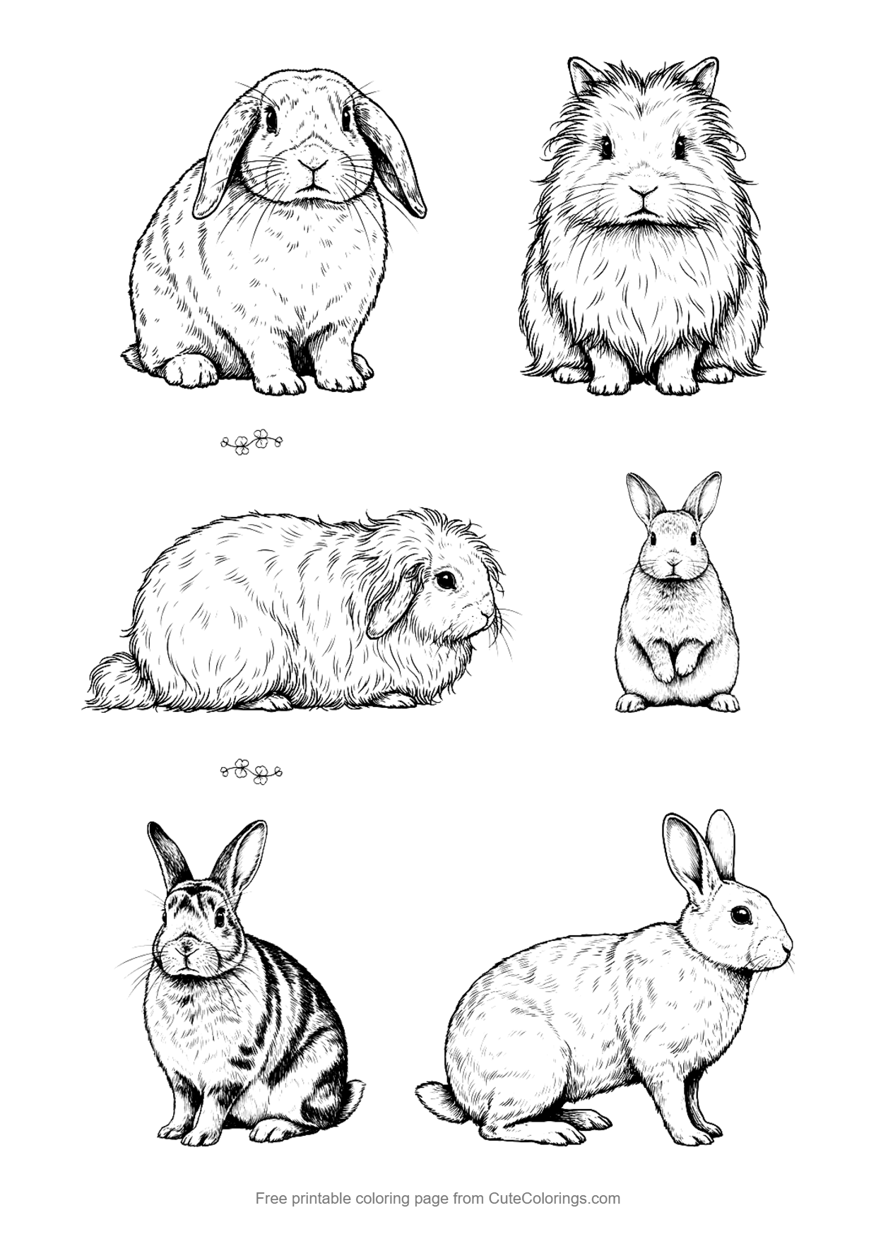 Detailed coloring page of six different pet rabbit breeds including a lop, a lionhead and an angora