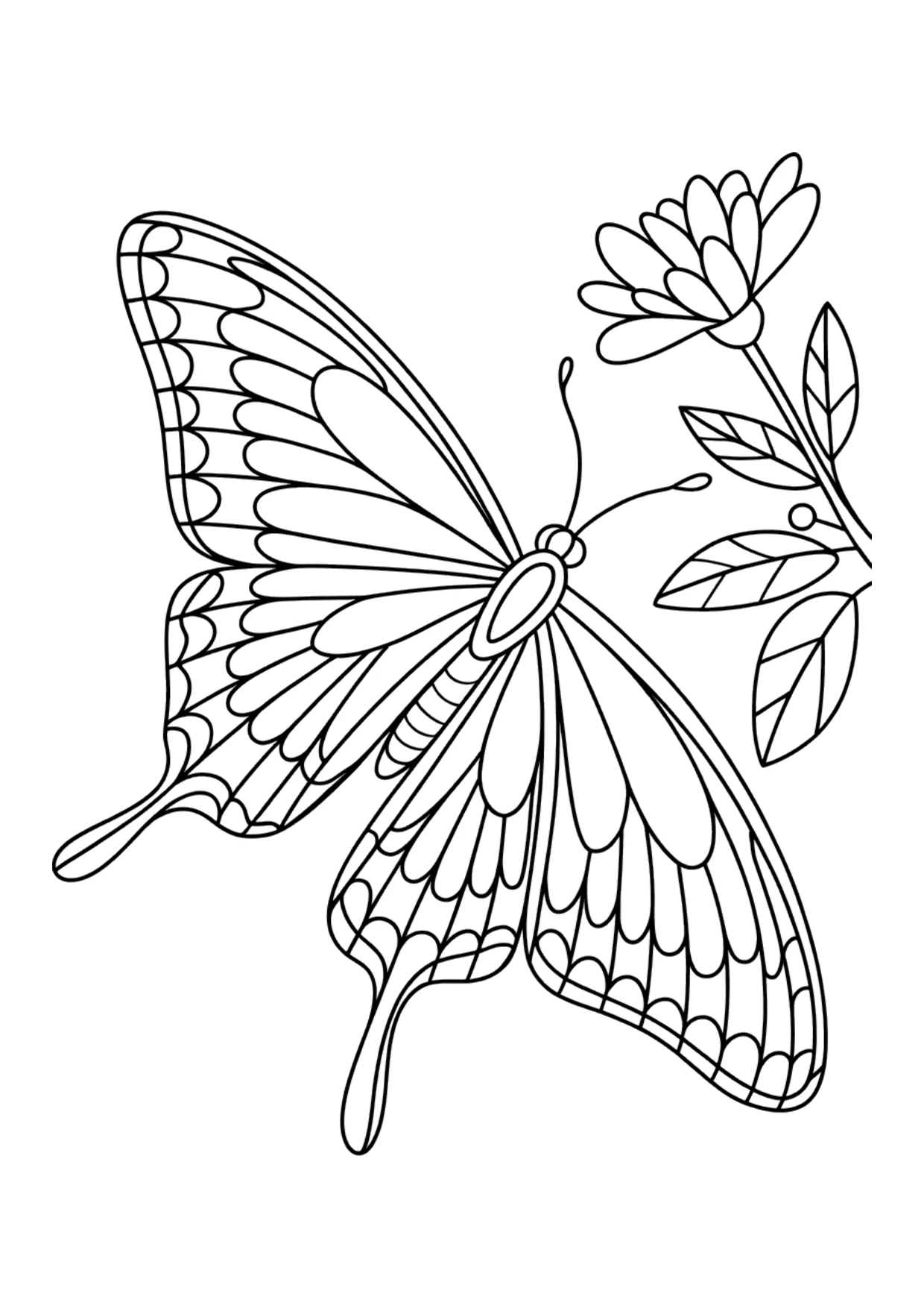 Coloriage détaillé d'un machaon réaliste