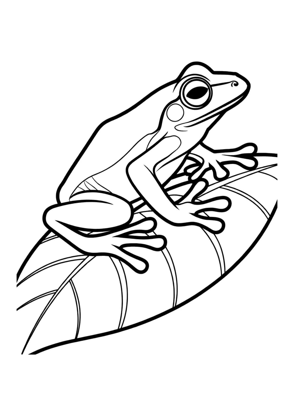 Coloriage réaliste détaillé d&rsquo;une rainette