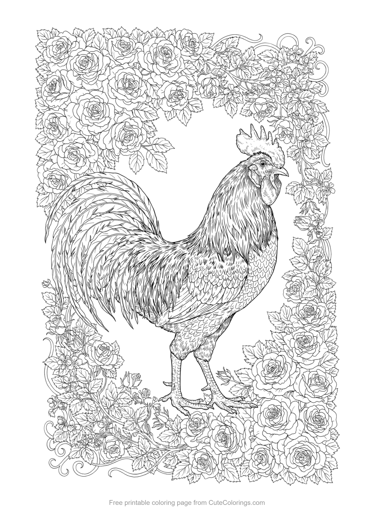 Adult coloring page of an elegant rooster surrounded by a frame of roses and vines