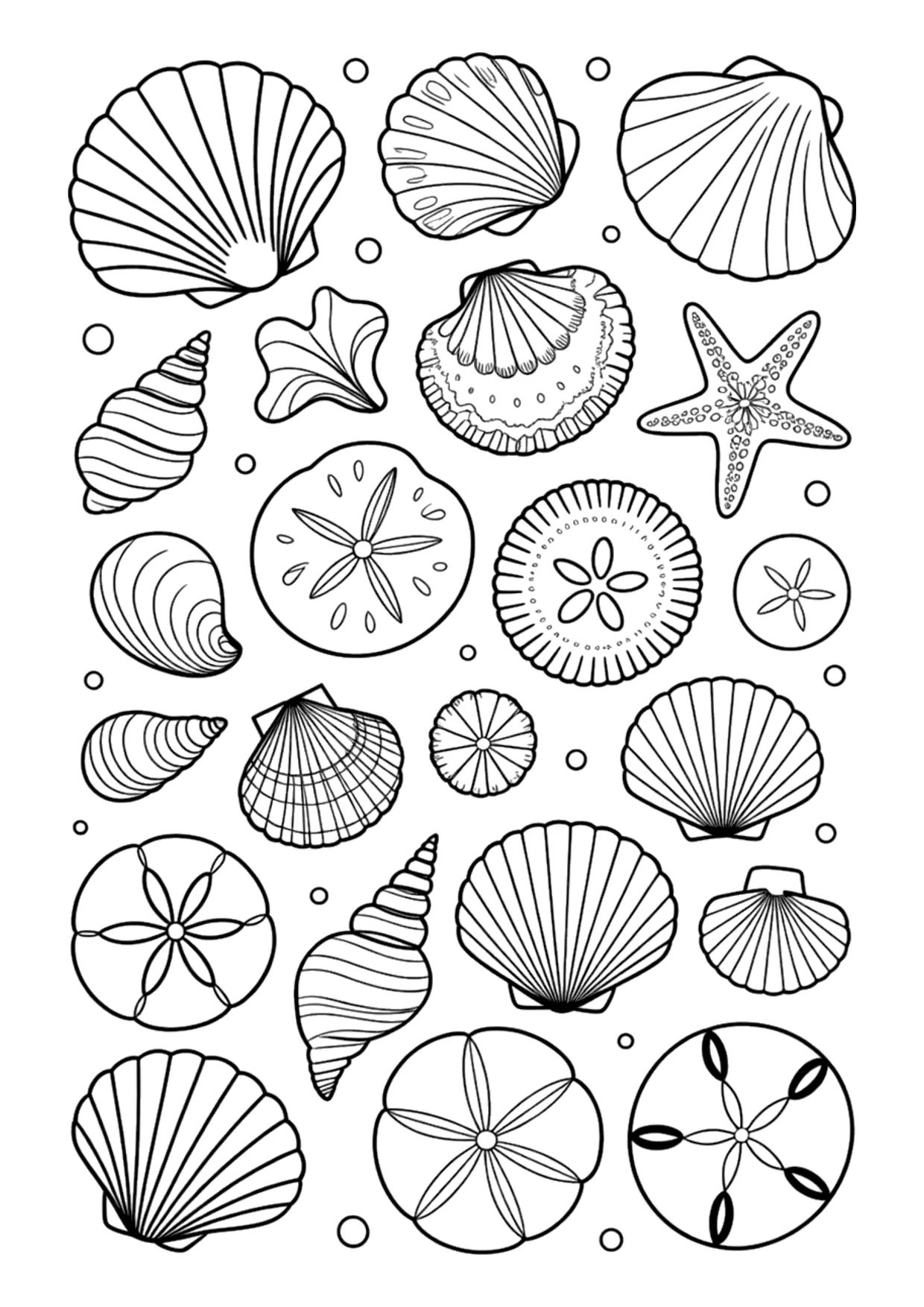Detailed coloring page of a seashell collection