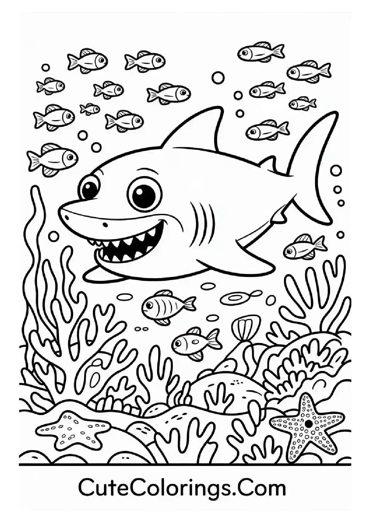 Underwater Shark Coral Reef