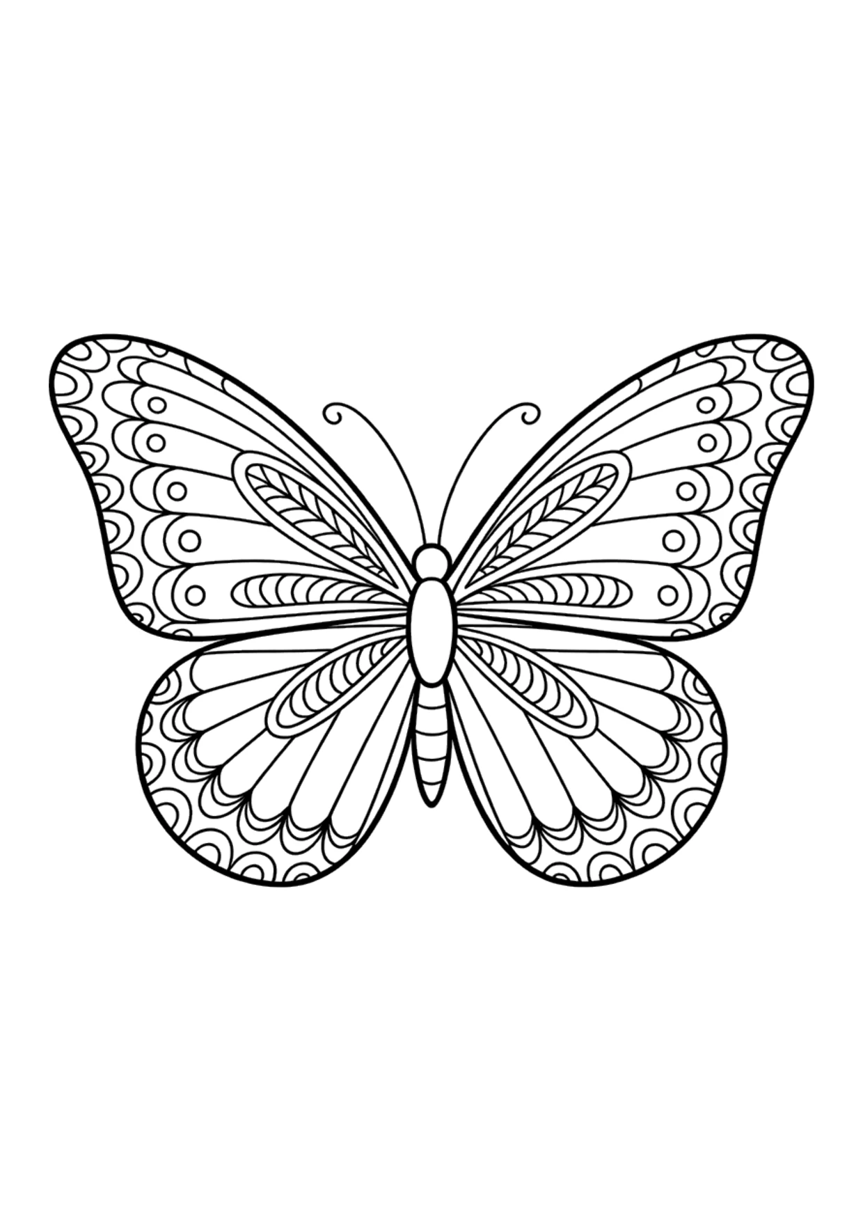 Coloriage détaillé d'un papillon zentangle pour adultes
