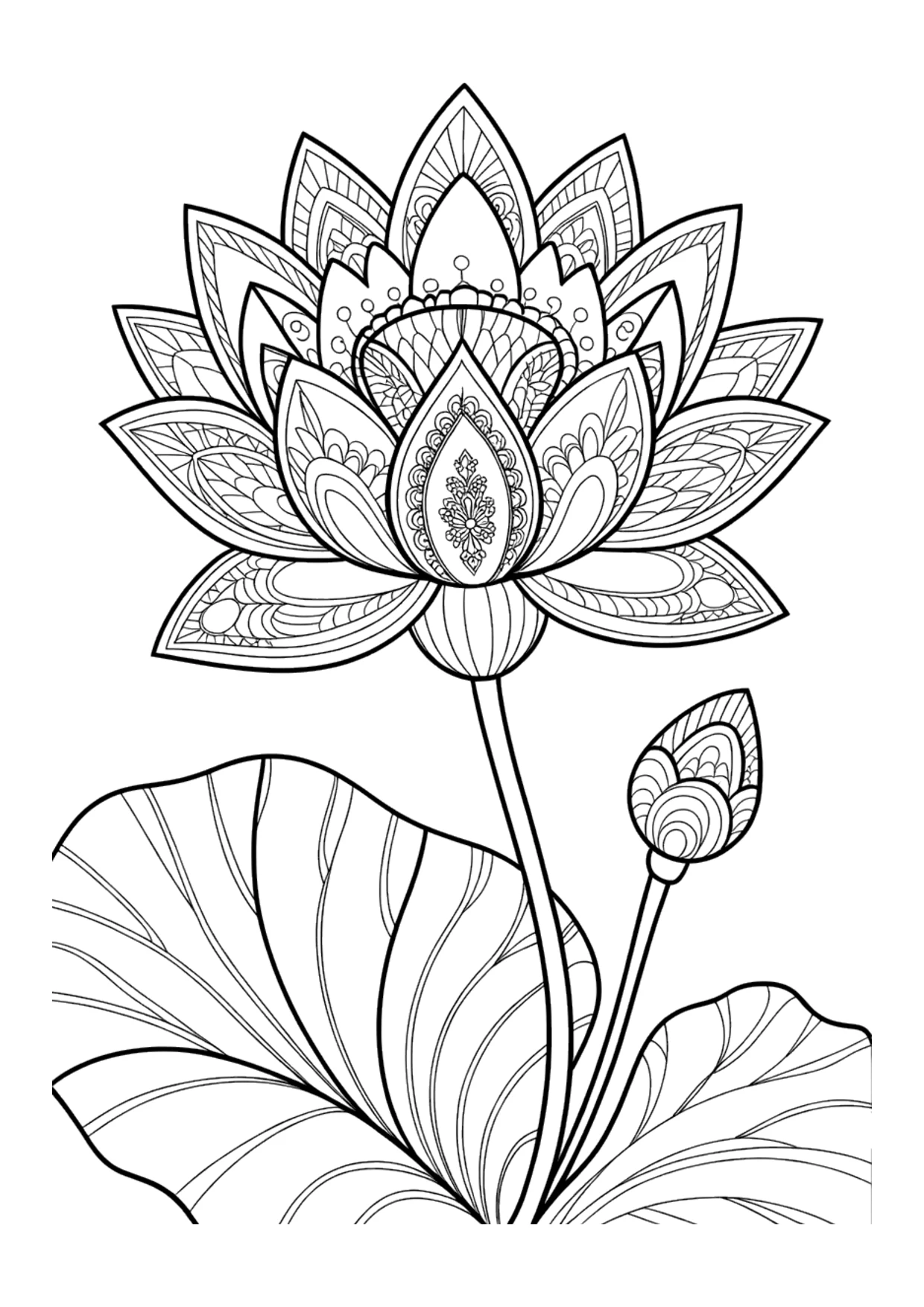 Coloriage détaillé d&rsquo;un lotus zentangle pour adultes