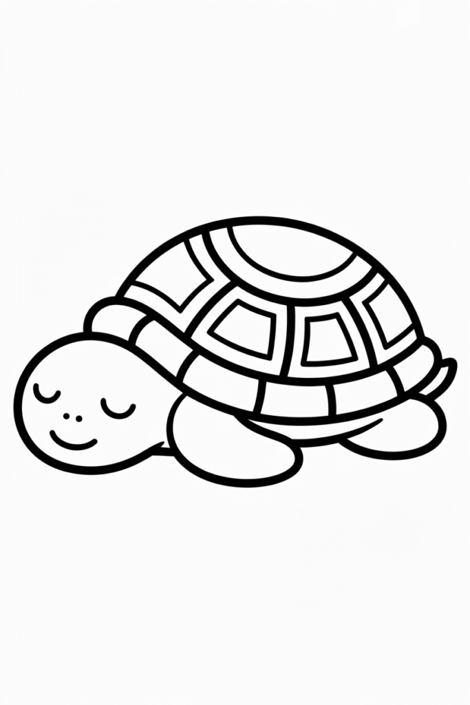 Peaceful Sleeping Turtle Resting Posev